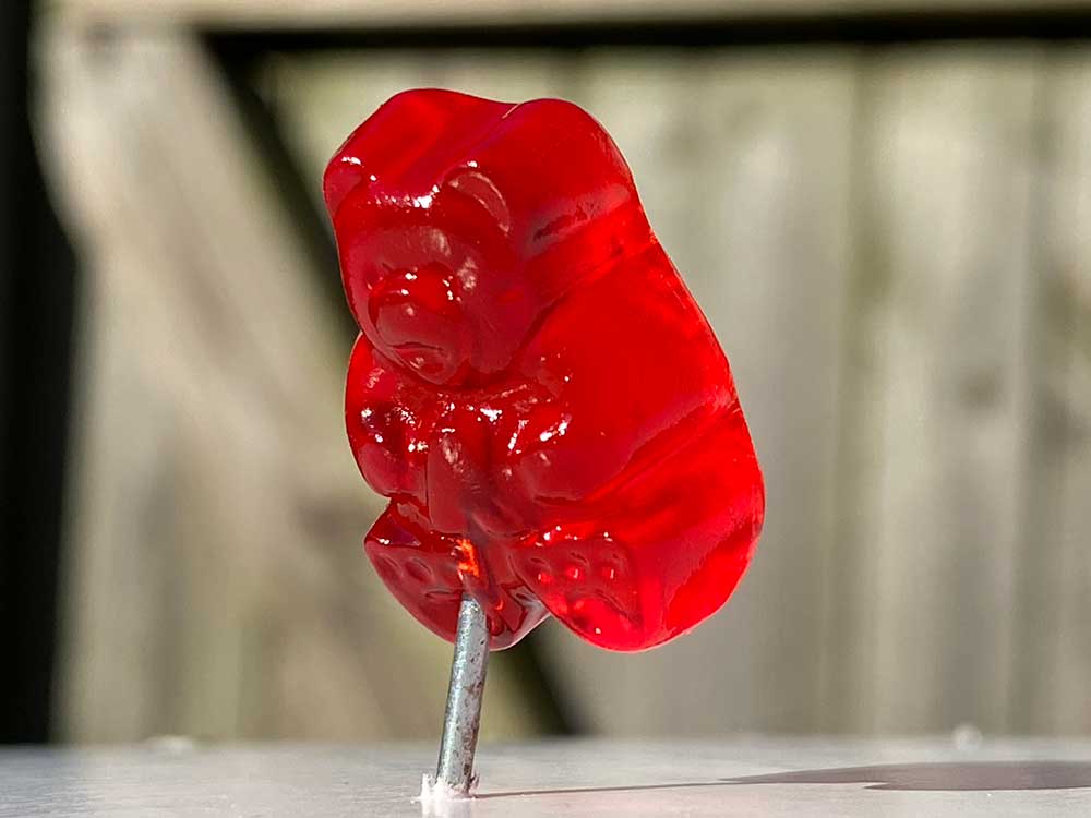 close up of red gummy bear