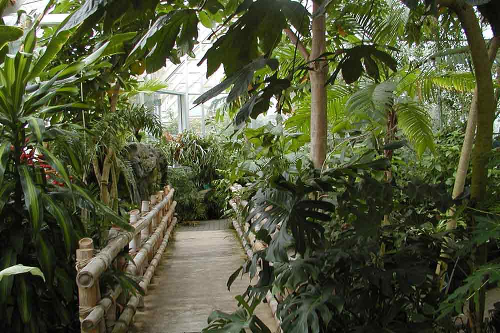 Inside Franklin Park Conservatory